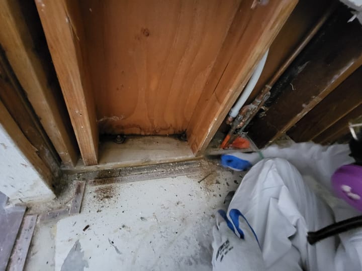 Flood cut demolition in the hall closet, Rancho Cucamonga, CA.
