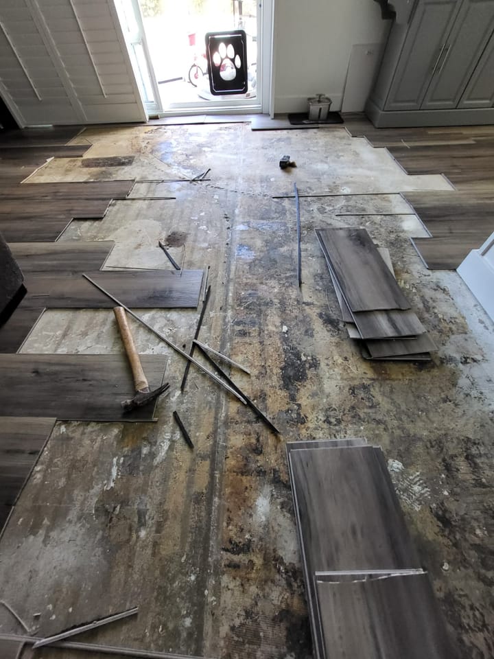 Flood cut demolition in the family room, Riverside, CA.