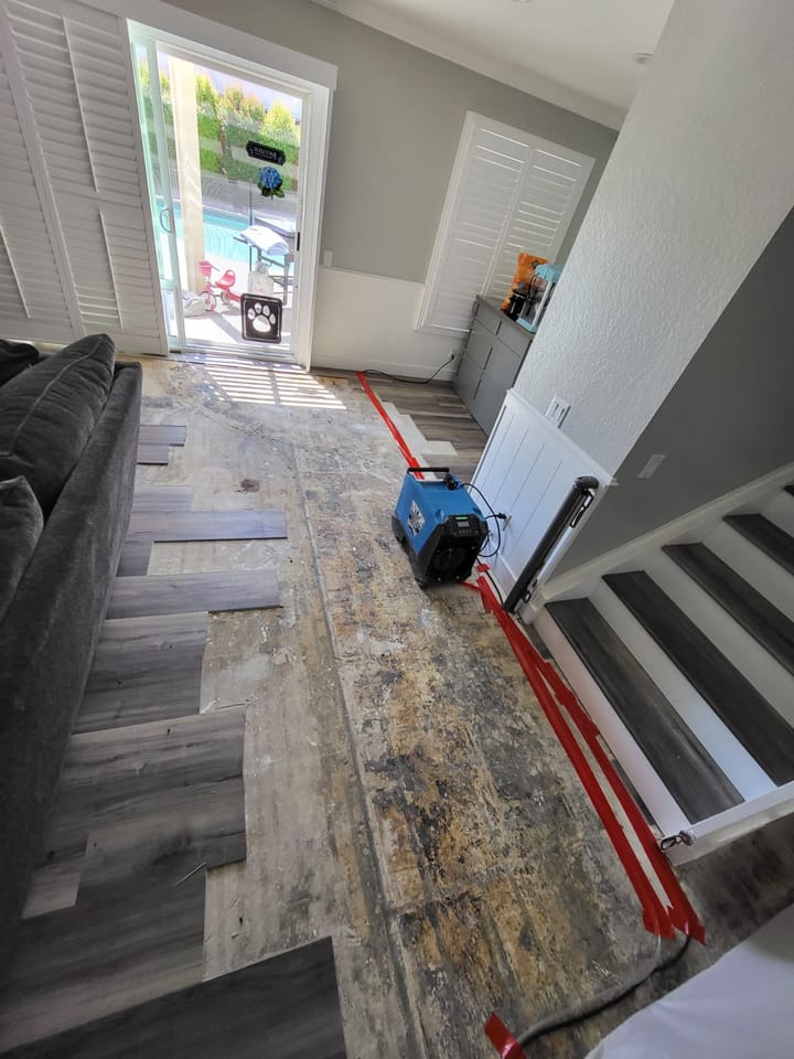 Flood cut demolition in the family room, Riverside, CA.