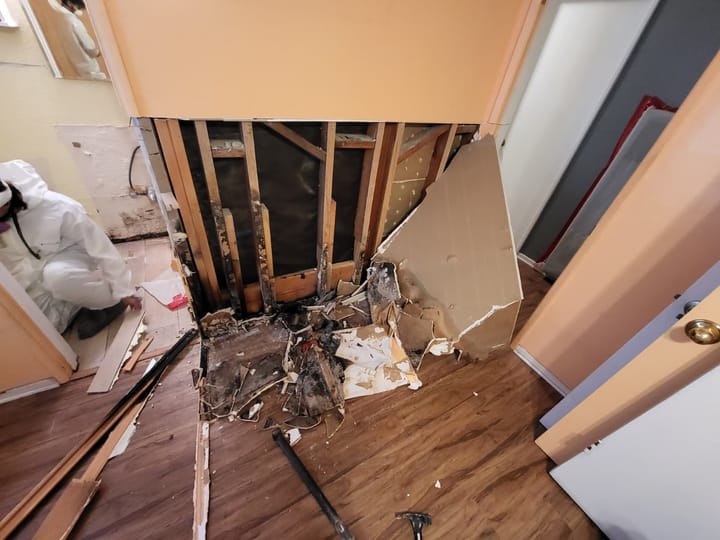 Flood cut demolition in the primary bedroom, San Bernardino, CA.