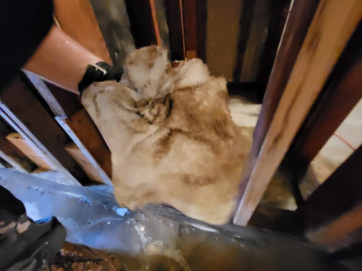 Mold remediation and drying equipment in the master bedroom, San Bernardino, CA.