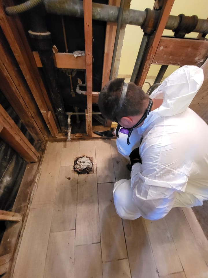Mold remediation and drying equipment in the primary bath, San Bernardino, CA.